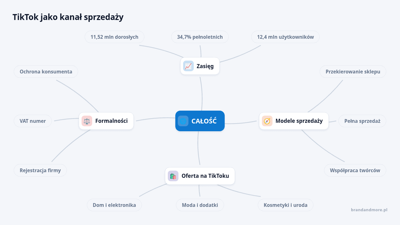 Schemat przedstawiający całość strategii TikTok jako kanału sprzedaży.